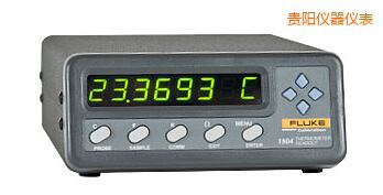 貴陽(yáng)單通道便攜式測(cè)溫儀