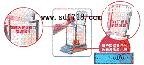 �Ž����M����ƽ,3100g,0.01g