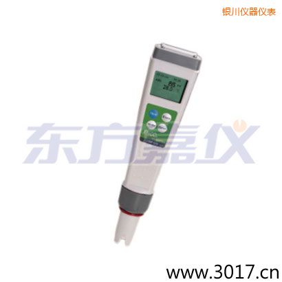 �y�������͹Pʽ����߀ԭ�yԇ�x